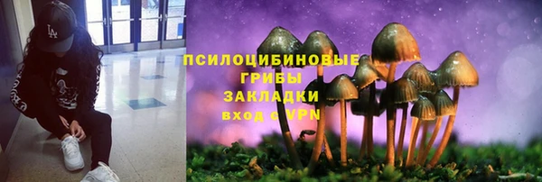 mdpv Нязепетровск