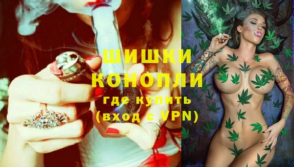 амф Няндома