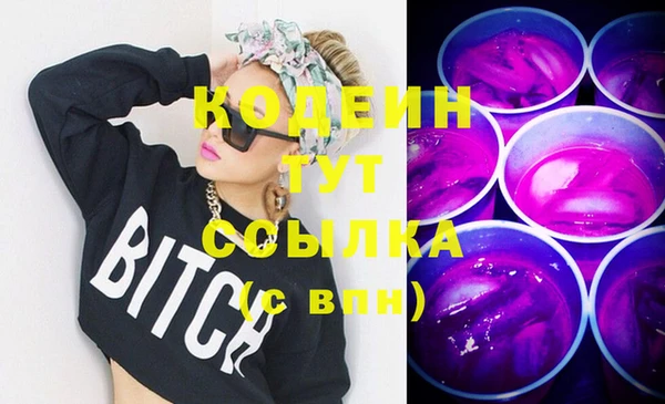 амф Няндома